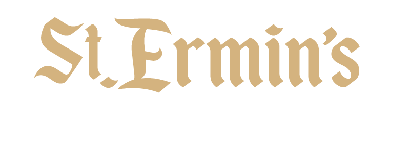 logo-st-emrins-foto